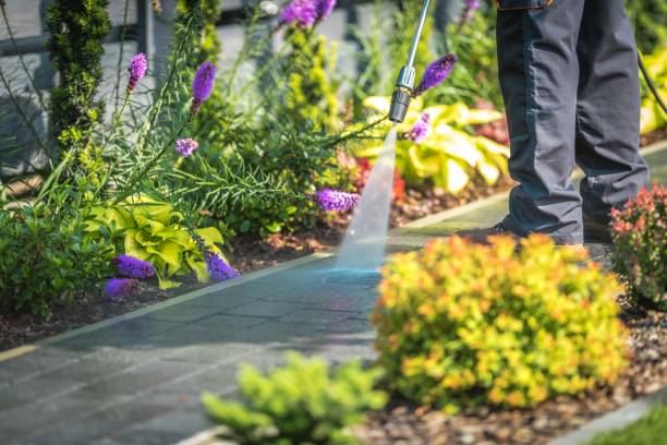 Best Animal Enclosure Cleaning  in Painted Post, NY